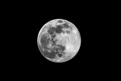 009850-07-04-2020-©-corrado-belli