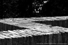 009867-08-04-2020-©-corrado-belli