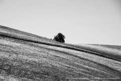009884-21-05-2020-©-corrado-belli