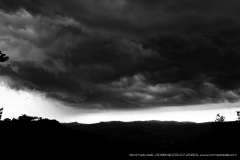 009942-03-07-2020-©-corrado-belli