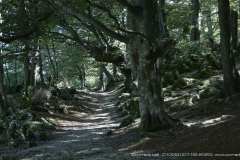 010050-07-09-2020-©-corrado-belli