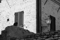 010157-09-10-2020-©-corrado-belli