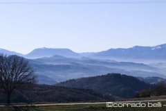 010783-19-12-2021-©-corrado-belli