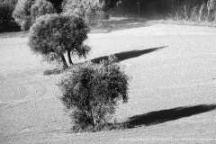 010792-01-01-2022-©-corrado-belli