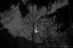 011760-24-01-2024-©-corrado-belli