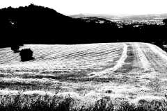 011936-24-06-2024-©-corrado-belli