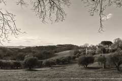 012741-16-03-2025-©-corrado-belli