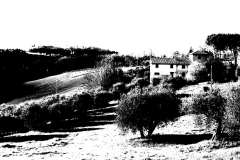 012742-16-03-2025-©-corrado-belli