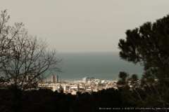 012743-17-03-2025-©-corrado-belli